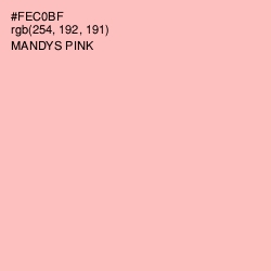 #FEC0BF - Mandys Pink Color Image